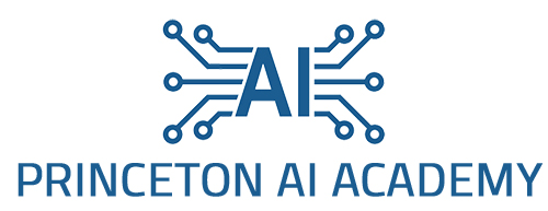 Princeton AI Academy